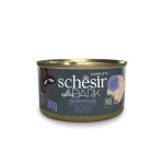 Schesir After Dark - طعام قطط باتيه – شيزير – Schesir – طعام رطب للقطط – باتيه للقطط – علبة طعام قطط – After Dark – غذاء قطط فاخر – طعام خالٍ من الحبوب – وجبات غنية بالبروتين