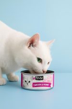 طعام القطط Kit Cat – بأطعمة متنوعة مغذٍ ولذيذ