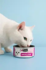 طعام القطط Kit Cat – بأطعمة متنوعة مغذٍ ولذيذ