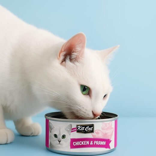 طعام القطط Kit Cat – بأطعمة متنوعة مغذٍ ولذيذ