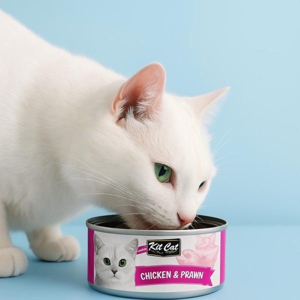 طعام القطط Kit Cat – بأطعمة متنوعة مغذٍ ولذيذ