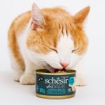 Schesir After Dark paté 80g in can، طعام قطط باتيه طبيعي من Schesir بأطعمة متنوعة