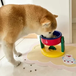 حامل وعاء طعام مائل للحيوانات الأليفة، قابل للتعديل ومضاد للانزلاق والتسرب 8 b2818480899d4b59a513d4f768e188a5 1743490213246