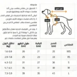 قميص كلاب – ملابس صيفية للكلاب – ملابس حيوانات أليفة – تيشيرت للكلاب الصغيرة – تصميم دب – ملابس لطيفة للكلب – قميص بوليستر للكلاب – ملابس مريحة – كلاب صغيرة – طقس حار – ملابس خفيفة للكلب