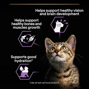 Purina Pro Plan Cat NutriSavour Kitten Turkey in Gravy، طعام رطب للقطط الصغيرة بنكهة الديك الرومي، بورينا برو بلان 3 s l1600 1