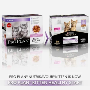 Purina Pro Plan Cat NutriSavour Kitten Turkey in Gravy، طعام رطب للقطط الصغيرة بنكهة الديك الرومي، بورينا برو بلان 2 s l1600 3