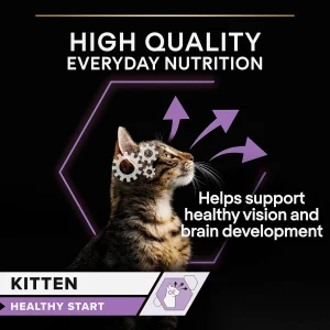 Purina Pro Plan Cat NutriSavour Kitten Turkey in Gravy، طعام رطب للقطط الصغيرة بنكهة الديك الرومي، بورينا برو بلان 5 s l1600 4
