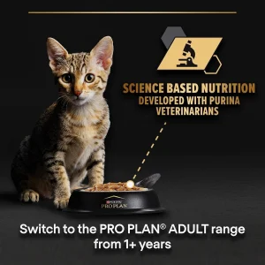 Purina Pro Plan Cat NutriSavour Kitten Turkey in Gravy، طعام رطب للقطط الصغيرة بنكهة الديك الرومي، بورينا برو بلان 6 s l1600 5