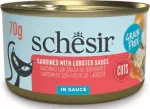 Schesir Gourmet Wet Food for Cats، طعام شيسير طبيعي للقطط، بنكهات متعددة معلب، 70 جم - الصورة 2