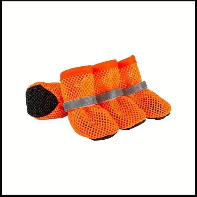 بعض من منتجاتنا الأكثر مبيعاً خلال هذا الشهر 14 540102908 1328033465683598 2944852810833064383 n