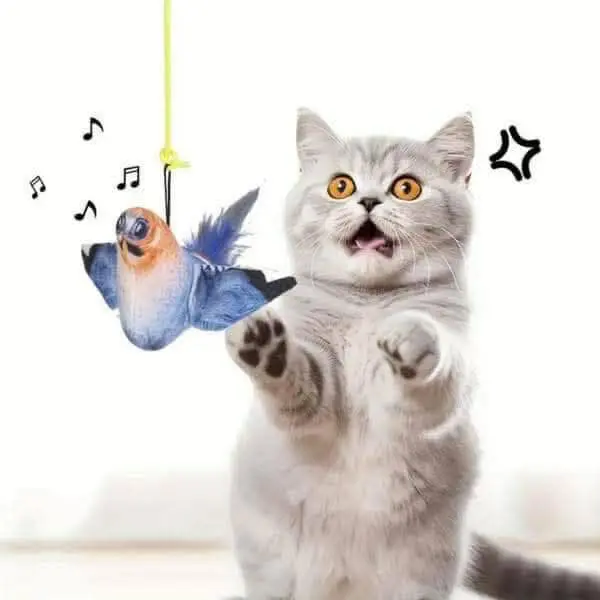 الرئيسية 158 بعض من منتجاتنا الأكثر مبيعاً خلال هذا الشهر