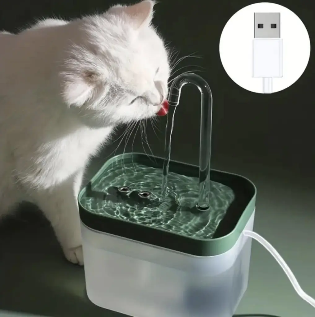 بعض من منتجاتنا الأكثر مبيعاً خلال هذا الشهر 7 540416352 1328035839016694 7349542602231315909 n