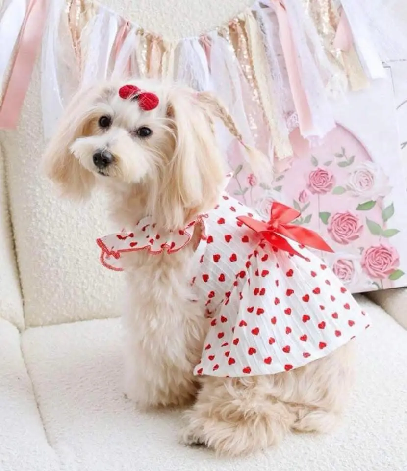 بعض من منتجاتنا الأكثر مبيعاً خلال هذا الشهر 9 540870114 1328033859016892 5970958401682868594 n