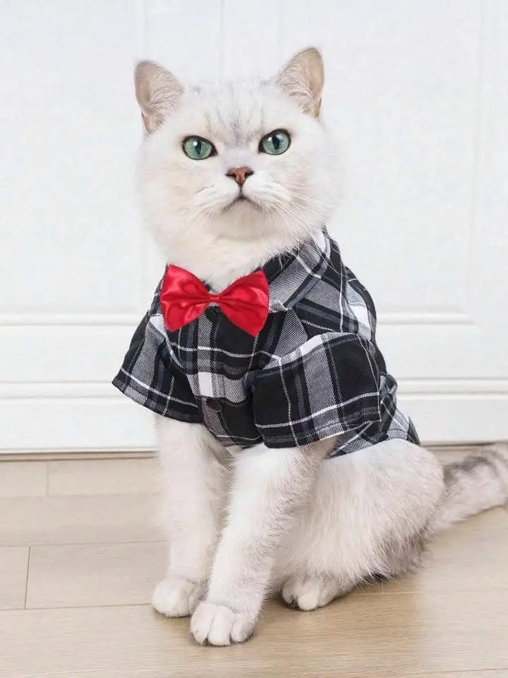 بعض من منتجاتنا الأكثر مبيعاً خلال هذا الشهر 10 540937643 1328033925683552 4039879902359531221 n