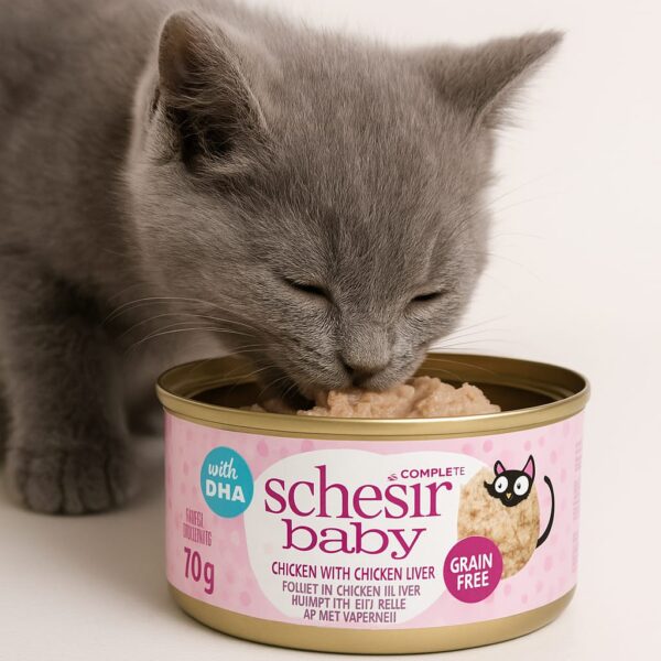 Schesir Baby Chicken in broth 70g in can، طعام شيسير للقطط الصغيرة بأطعمة متنوعة