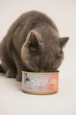 Schesir Silver For Senior Cats,70g، طعام طبيعي للقطط الكبيرة في السن