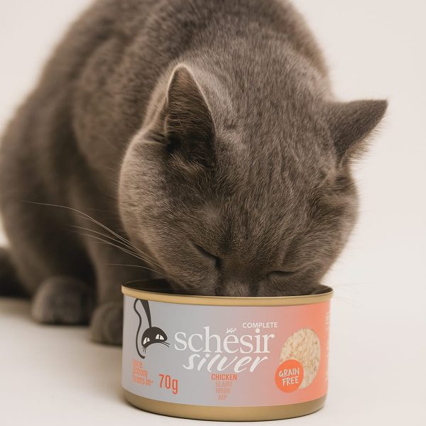 Schesir Silver For Senior Cats,70g، طعام طبيعي للقطط الكبيرة في السن