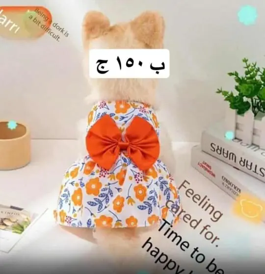 🐾✨ عروض خاصة لمحبين الحيوانات الأليفة ✨🐾لبّس حيوانك الأليف أجمل استايل بأسعار تحفـــة 🐶🐱💖🛍️ تشكيلة ملابس أنيقة – دفا وشيك في نفس الوقت🔥 خصومات محدودة لفترة قصيرة – الحق العرض قبل ما يخلص! 9 WhatsApp Image 2025 08 31 at 14.39.55 8fee276f 1