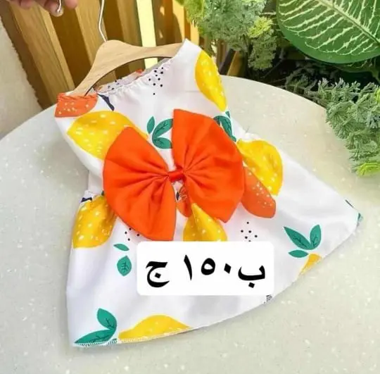 🐾✨ عروض خاصة لمحبين الحيوانات الأليفة ✨🐾لبّس حيوانك الأليف أجمل استايل بأسعار تحفـــة 🐶🐱💖🛍️ تشكيلة ملابس أنيقة – دفا وشيك في نفس الوقت🔥 خصومات محدودة لفترة قصيرة – الحق العرض قبل ما يخلص! 11 WhatsApp Image 2025 08 31 at 14.39.56 36d4eca6 1