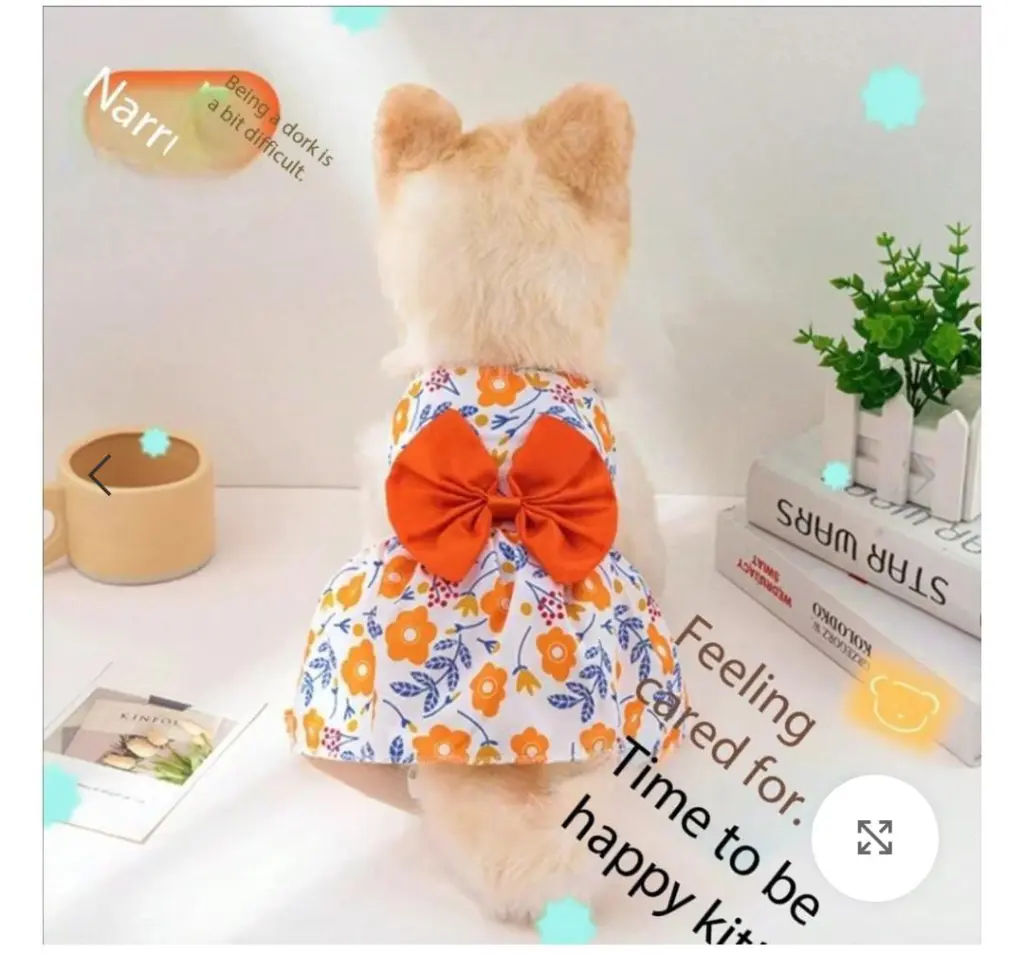 🐾✨ عروض خاصة لمحبين الحيوانات الأليفة ✨🐾لبّس حيوانك الأليف أجمل استايل بأسعار تحفـــة 🐶🐱💖🛍️ تشكيلة ملابس أنيقة – دفا وشيك في نفس الوقت🔥 خصومات محدودة لفترة قصيرة – الحق العرض قبل ما يخلص! 14 WhatsApp Image 2025 08 31 at 14.47.09 3e87cd71 1