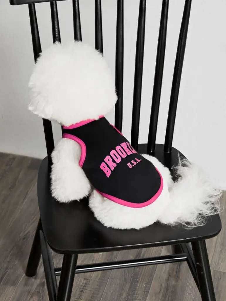 🐾✨ عروض خاصة لمحبين الحيوانات الأليفة ✨🐾لبّس حيوانك الأليف أجمل استايل بأسعار تحفـــة 🐶🐱💖🛍️ تشكيلة ملابس أنيقة – دفا وشيك في نفس الوقت🔥 خصومات محدودة لفترة قصيرة – الحق العرض قبل ما يخلص! 15 WhatsApp Image 2025 08 31 at 14.47.09 8dbac42f 1