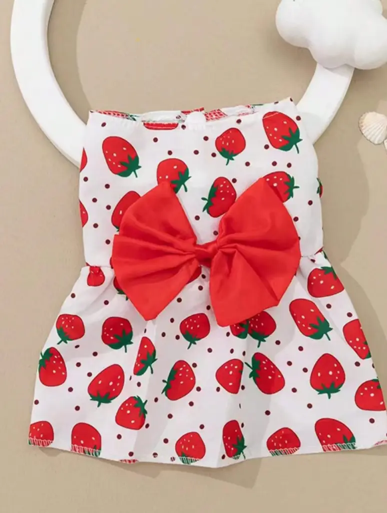 🐾✨ عروض خاصة لمحبين الحيوانات الأليفة ✨🐾لبّس حيوانك الأليف أجمل استايل بأسعار تحفـــة 🐶🐱💖🛍️ تشكيلة ملابس أنيقة – دفا وشيك في نفس الوقت🔥 خصومات محدودة لفترة قصيرة – الحق العرض قبل ما يخلص! 17 WhatsApp Image 2025 08 31 at 14.47.09 ff54737d 1