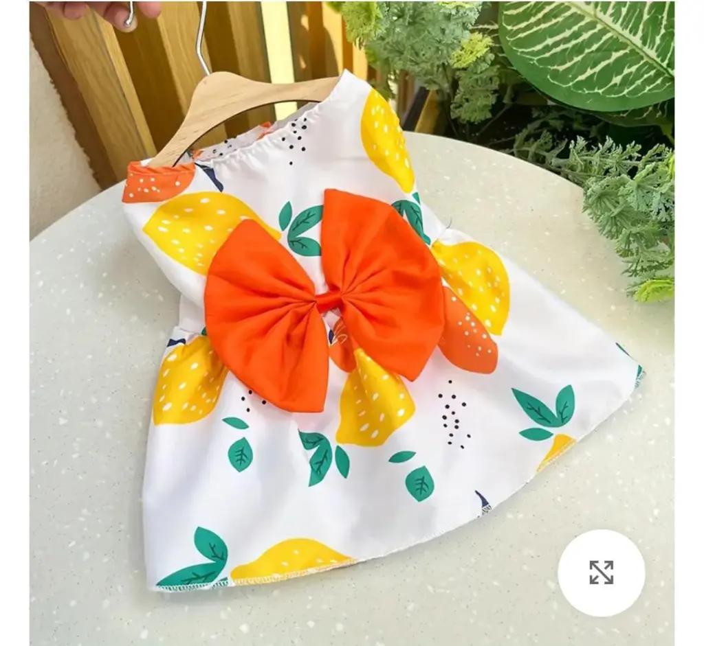 🐾✨ عروض خاصة لمحبين الحيوانات الأليفة ✨🐾لبّس حيوانك الأليف أجمل استايل بأسعار تحفـــة 🐶🐱💖🛍️ تشكيلة ملابس أنيقة – دفا وشيك في نفس الوقت🔥 خصومات محدودة لفترة قصيرة – الحق العرض قبل ما يخلص! 18 WhatsApp Image 2025 08 31 at 14.47.10 2aaf220c 1