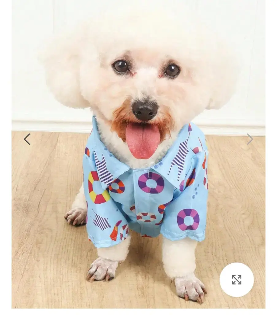 🐾✨ عروض خاصة لمحبين الحيوانات الأليفة ✨🐾لبّس حيوانك الأليف أجمل استايل بأسعار تحفـــة 🐶🐱💖🛍️ تشكيلة ملابس أنيقة – دفا وشيك في نفس الوقت🔥 خصومات محدودة لفترة قصيرة – الحق العرض قبل ما يخلص! 21 WhatsApp Image 2025 08 31 at 14.47.11 116ed73e 1