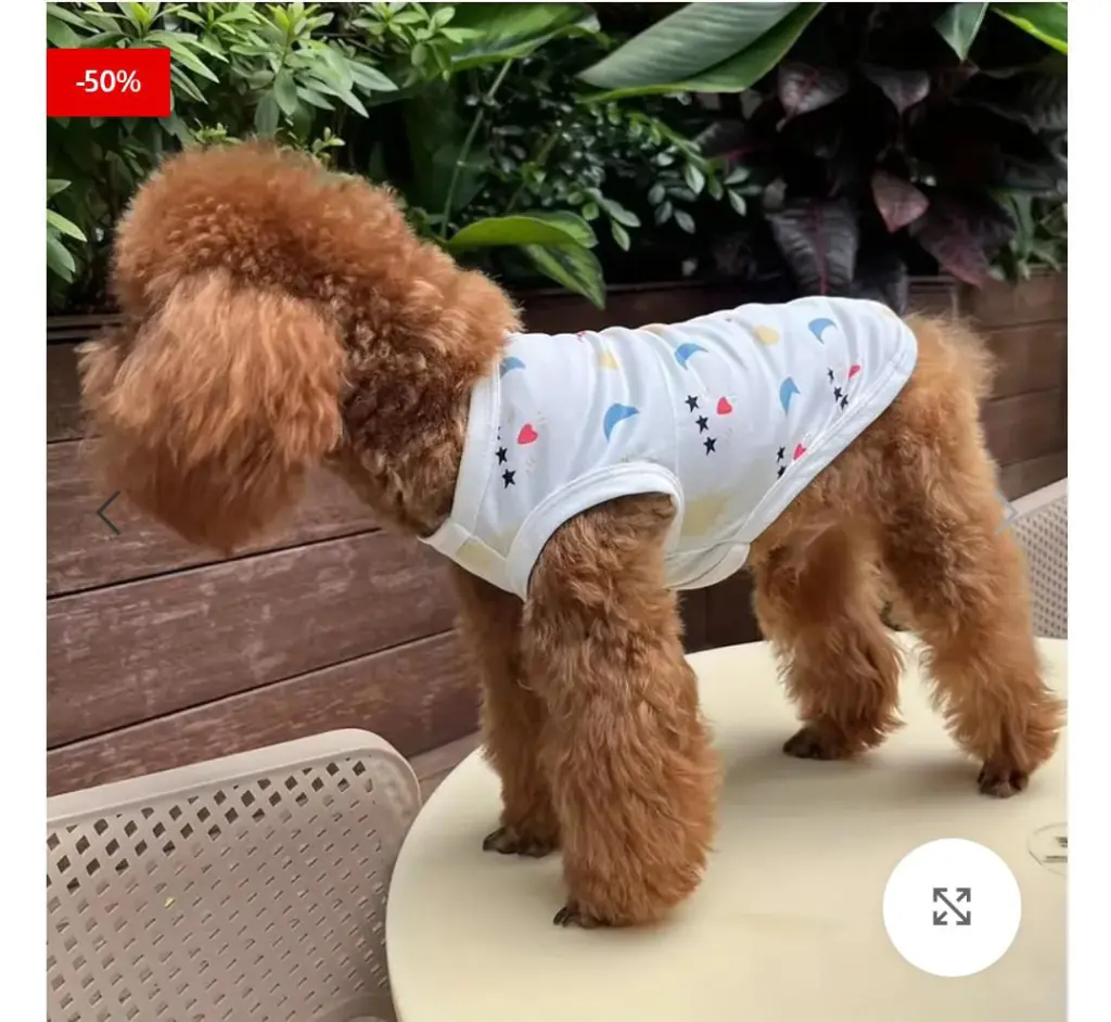 🐾✨ عروض خاصة لمحبين الحيوانات الأليفة ✨🐾لبّس حيوانك الأليف أجمل استايل بأسعار تحفـــة 🐶🐱💖🛍️ تشكيلة ملابس أنيقة – دفا وشيك في نفس الوقت🔥 خصومات محدودة لفترة قصيرة – الحق العرض قبل ما يخلص! 20 WhatsApp Image 2025 08 31 at 14.47.11 7a9fa710 1