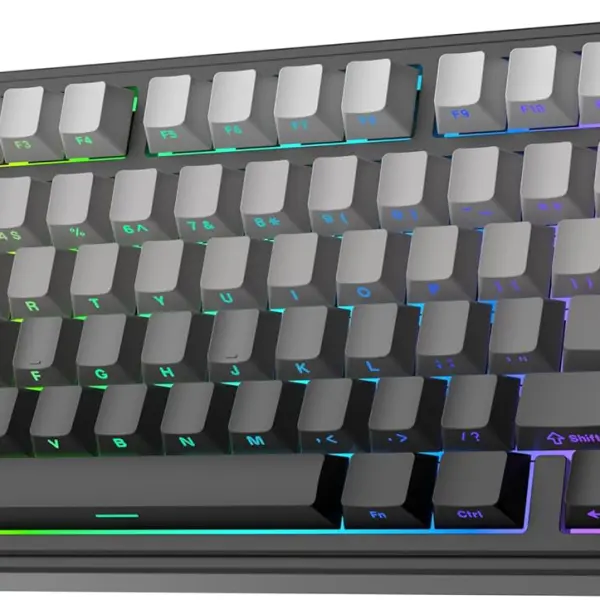 EPOMAKER x AULA F75 Gasket Mechanical Keyboard, 75% Wireless Hot Swappable Gaming Keyboard with Five-Layer Padding&Knob, Bluetooth/2.4GHz/USB-C, RGB (Black Gradient, LEOBOG Reaper Switch)