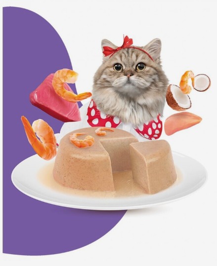 Moochie Cat Food، Pate with Prawn، طعام قطط، باتيه قطط، جمبري، موشي، كرات الشعر، طعام رطب، تغذية القطط، باوت 70 جم