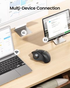 ProtoArc EM01 NL Ergonomic Trackball Mouse - Gray Ball