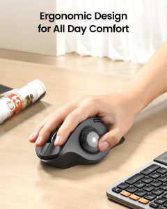 ProtoArc EM01 NL Ergonomic Trackball Mouse - Gray Ball