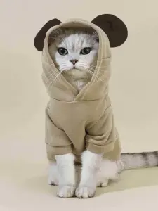 هودي PETSIN للحيوانات الأليفة بتصميم ثلاثي الأبعاد مع تفاصيل الأذن، مظهر عصري ولطيف 1 17579311580bed49c00dc5f6817d5c6f42dde13e5f