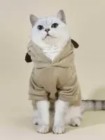 هودي PETSIN للحيوانات الأليفة بتصميم ثلاثي الأبعاد مع تفاصيل الأذن، مظهر عصري ولطيف - الصورة 3