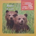 الدببة Bears