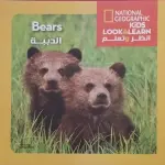الدببة Bears