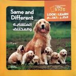 المتشابه والمختلف Same and Different