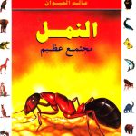 أسرار عالم الحيوان - النمل مجتمع عظيم