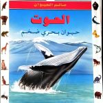 أسرار عالم الحيوان - الحوت حيوان بحري ضخم