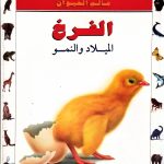 أسرار عالم الحيوان - الفرخ الميلاد والنمو