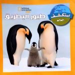 طيور البطريق