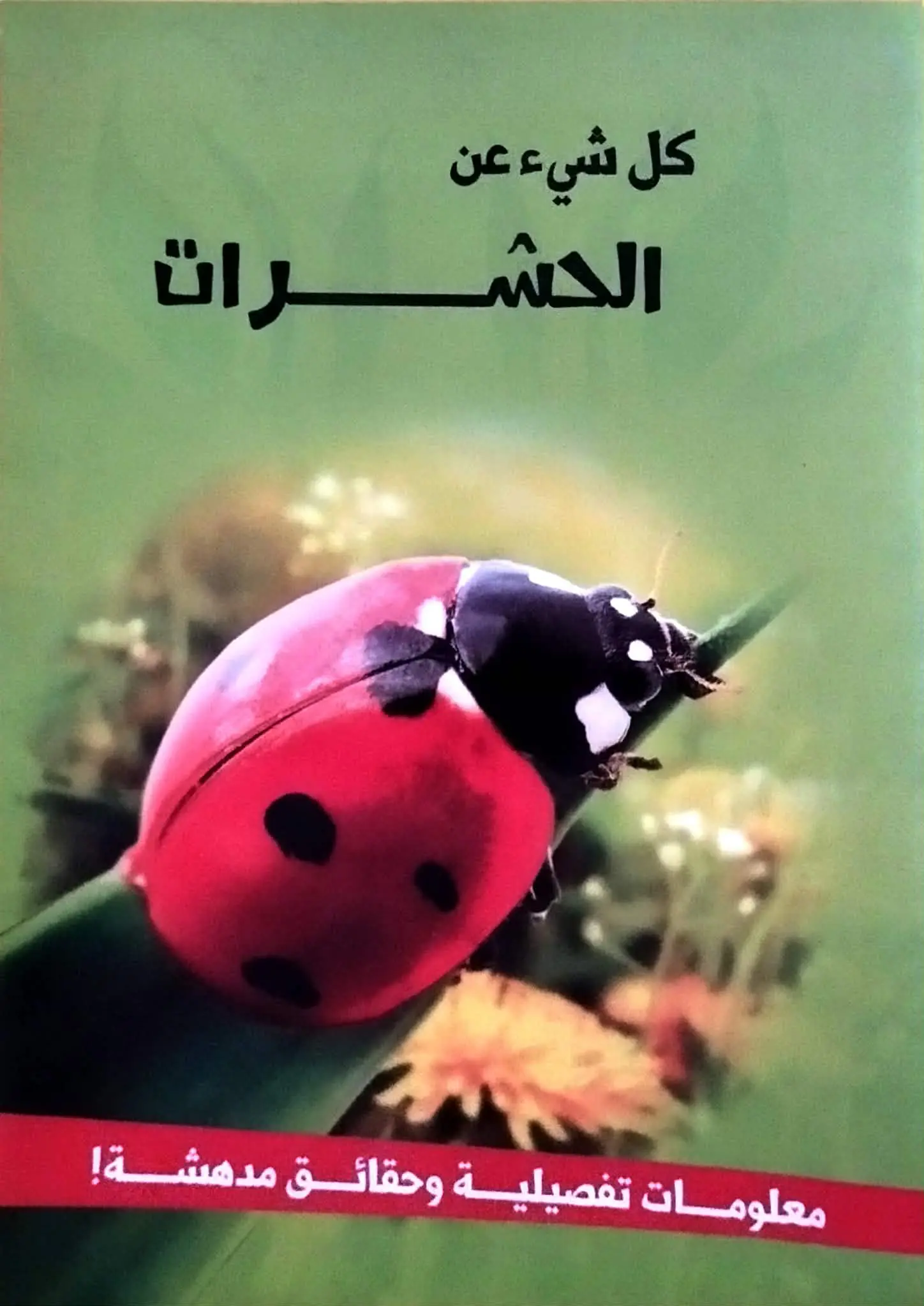 كل شيء عن الحشرات كل شيء عن الحشرات - الصورة 1