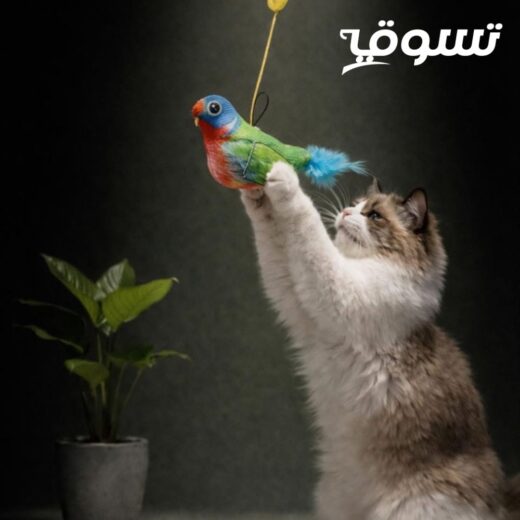 لعبة قطط